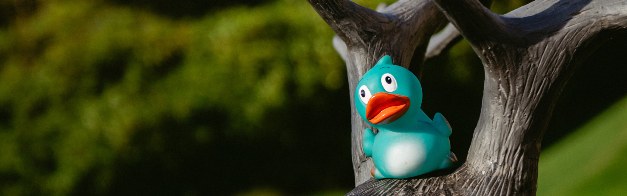 Apex Dunblane Hydro Duck Apex Dunblane Hydro Duck