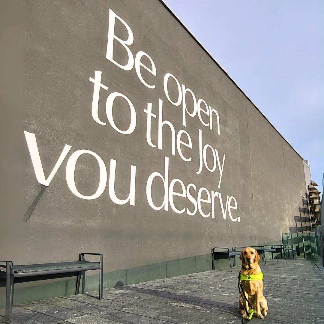 Guide dog sitting in front of a mural that says “be open to the joy you deserve”