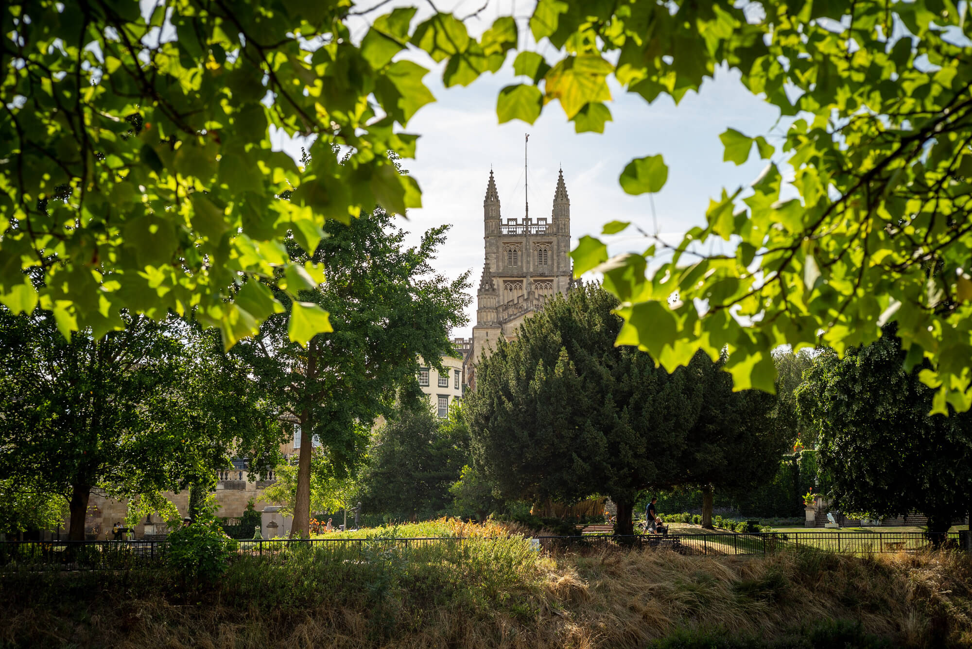 Bath Abbey seen through trees